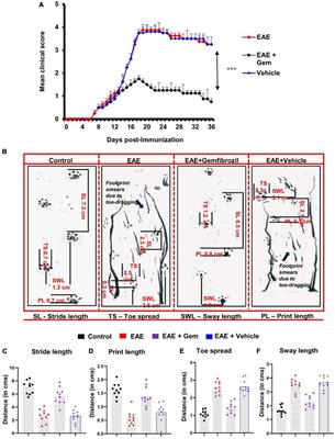 Amelioration of experimental autoimmune encephalomyelitis by gemfibrozil in mice via PPARβ/δ: implications for multiple sclerosis